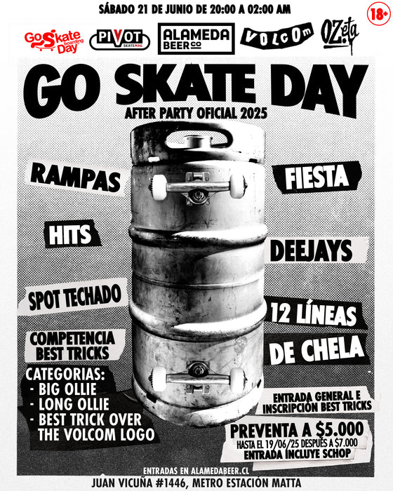 Afiche Go Skate Day